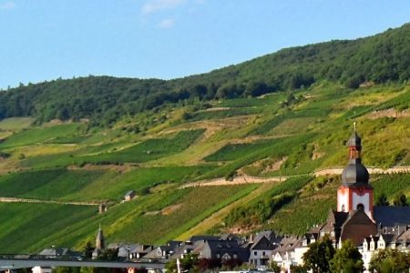 Zell an der Mosel